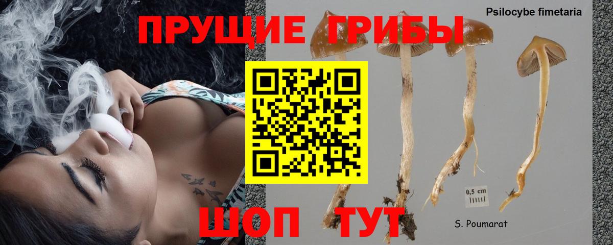 Галлюциногенные грибы Cubensis  Псилоцибиновые грибы Magic Shrooms  Гулькевичи  Вход с VPN 