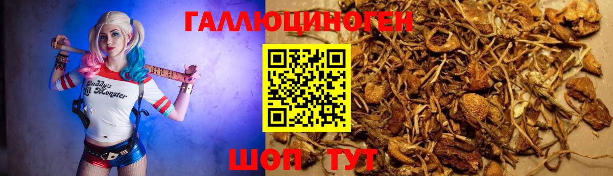 Псилоцибиновые грибы ЛСД Гулькевичи
